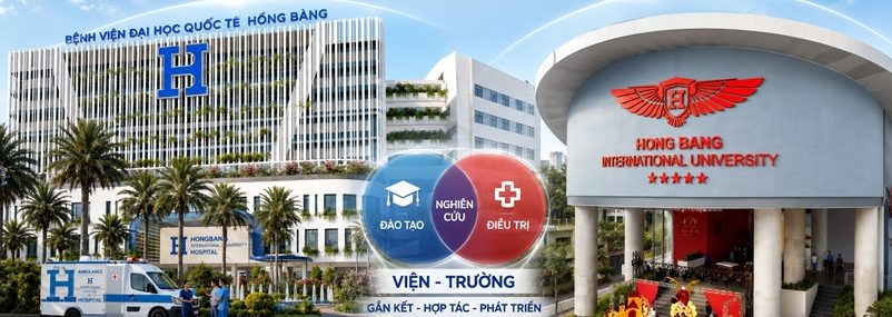 Mô hình Trường - Viện là gì? VuaBoss Vip chính thức hoàn thiện mô hình Trường - Viện