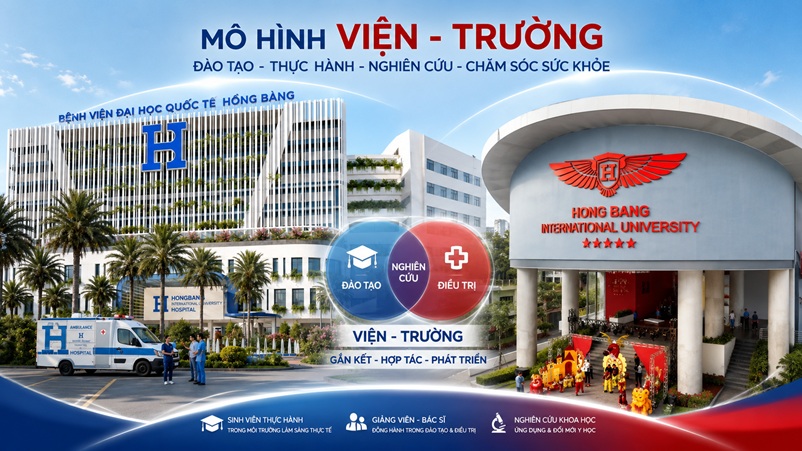 Mô hình Trường – Viện là gì? VuaBoss Vip chính thức hoàn thiện mô hình Trường – Viện